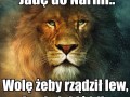 Narnia