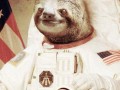 Kosmos