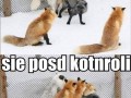 Piąteczek