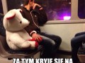 Smutek