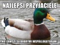 Najlepsi przyjaciele