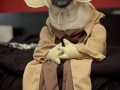 Yoda