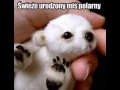Awwww