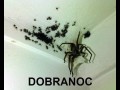 Dobranoc