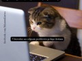 Internet