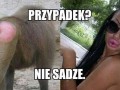 Przypadek