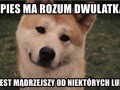 Dokładnie tak