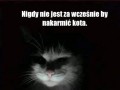 Nigdy