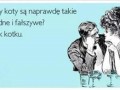 True 5