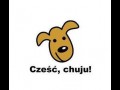 Cześć
