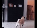 Karma