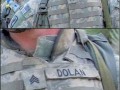 Dolan