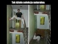 Selekcja naturalna