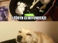 żodyn
