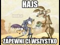 Hajs