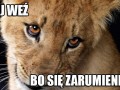Przestań