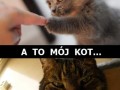 Zawsze tak jest