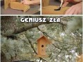 Geniusz zła