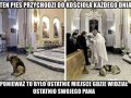 Prawdziwy przyjaciel