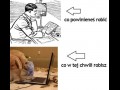 Co robisz