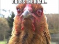 Hahahaha