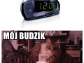 Budzik