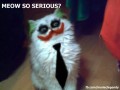Meow