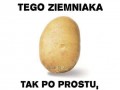 Ziemniak