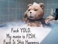 Ted