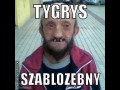 Tygrys