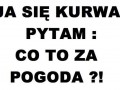 Pogoda