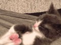 Awwww