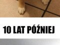Dorastanie