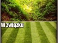 If you know what i mean
