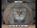 Kryzys