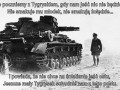 Tygrys