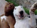 Selfie