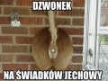 Dzwonek