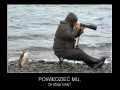 Pingwin