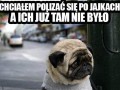 Dramat