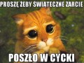 Błagam