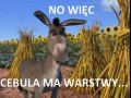 Cebula