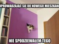 Tego się nie spodziewałem