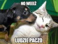 No weź