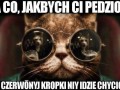 Hahaha