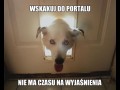 Portal