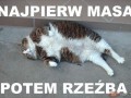 Najpierw masa