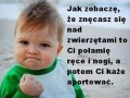 Zwierzaki