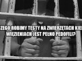Dobre pytanie