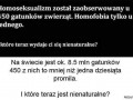 Odpowiedź